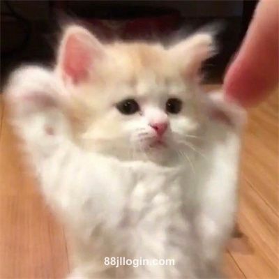 User Anil